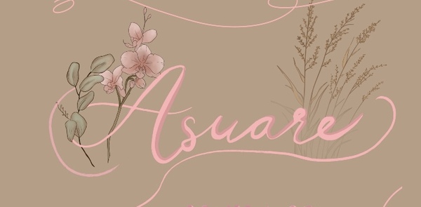 Asuare Aesthetics Inc