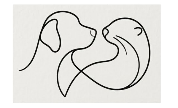 Sea Otters Child and Youth Counselling